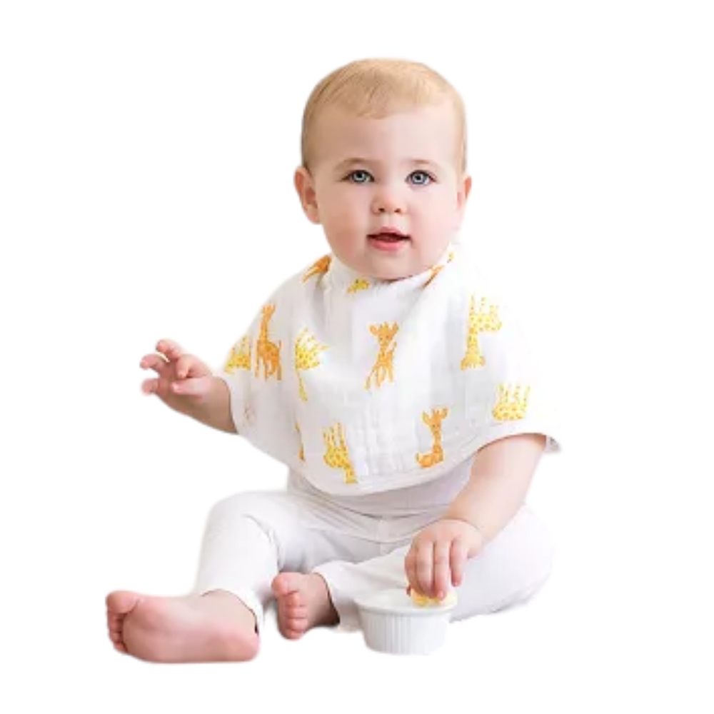 Aden + Anais Burpy Bib